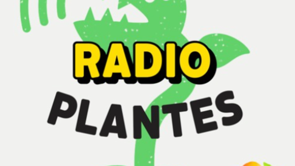Radio plantes