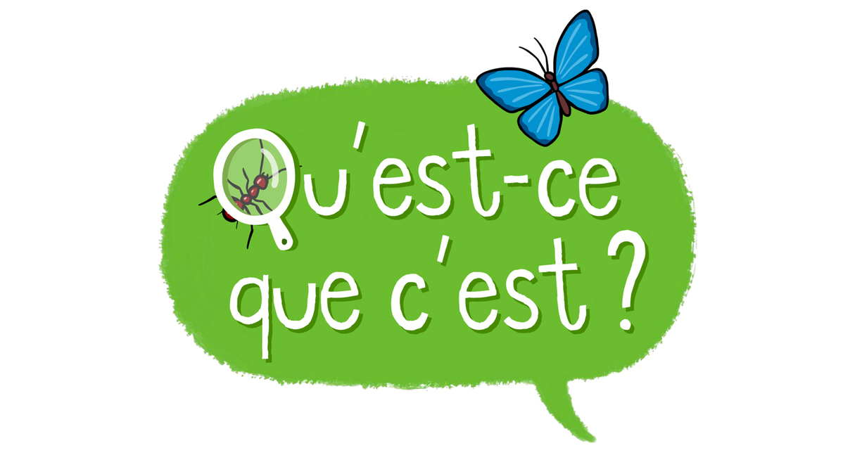 Des Ressources ID LLO Pour Apprendre En Famille Webzine ID LLO